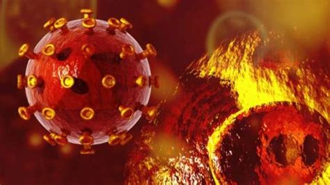 H­I­V­ ­V­i­r­ü­s­ü­n­e­ ­K­a­r­ş­ı­ ­S­a­v­u­n­m­a­ ­Y­e­r­i­n­e­ ­S­a­l­d­ı­r­ı­ ­T­a­k­t­i­ğ­i­
